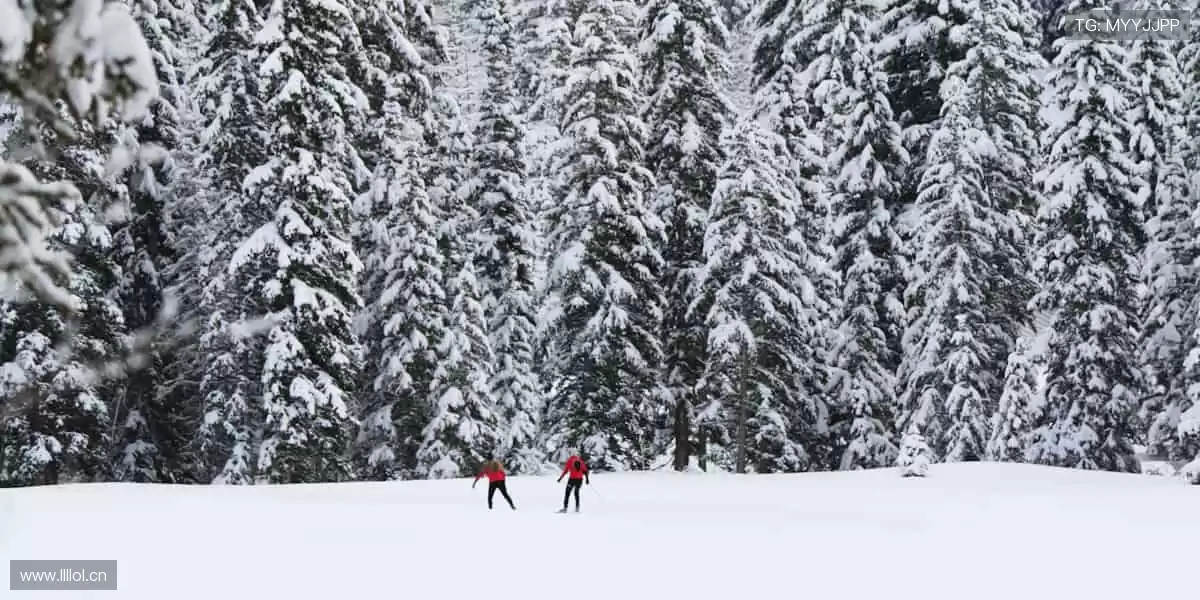 🎧互动弹幕,和千万球迷一起嗨翻全场!